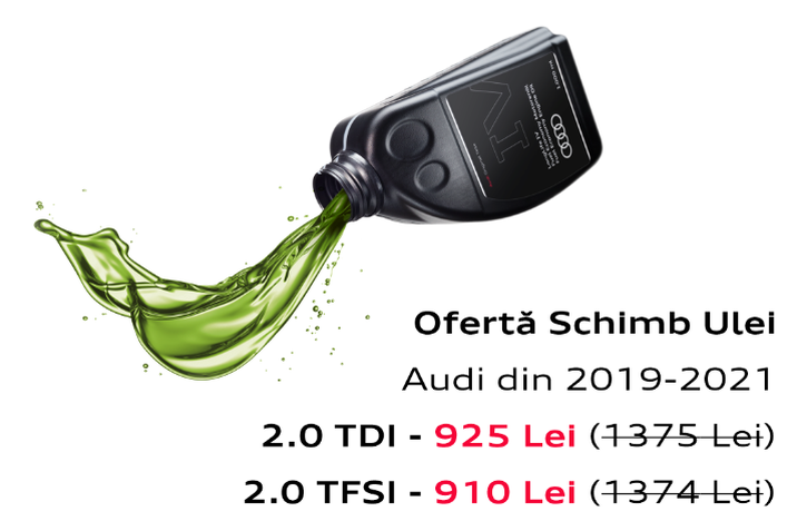 Segmentul 2