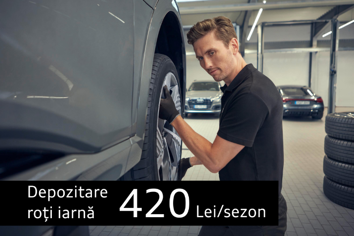 depozitare roti