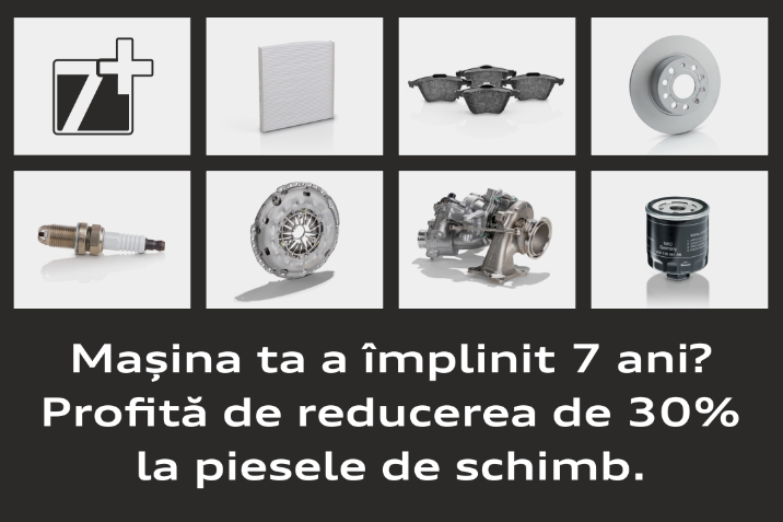 segmentul 3